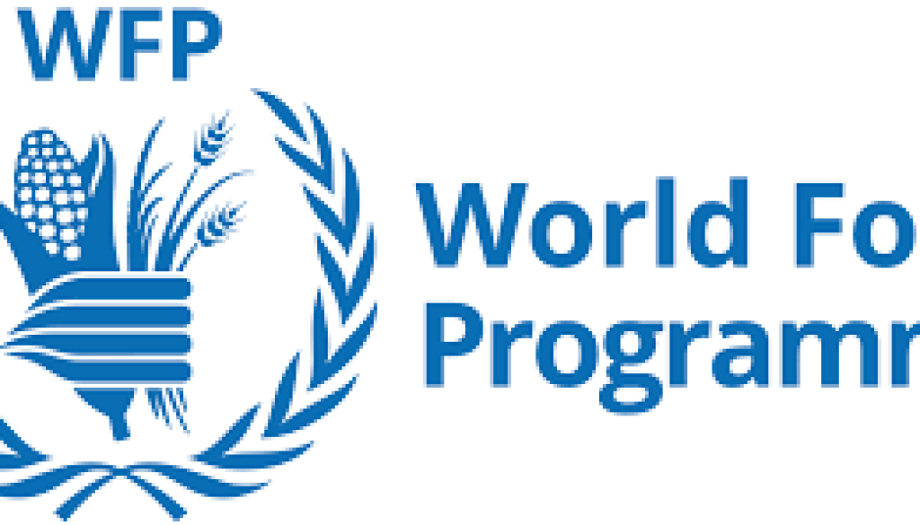 Budget & Programming Associate Vacancy-Job Ref: JKCGWFP/2006/202470