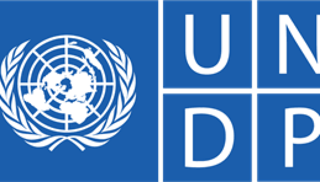 Analyst (Sustainable Development Green Growth Program) Vacancy-Job Ref: JKCGUNDP/2006/202478